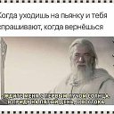 ���� ������, ������ �����, 49 ��� - ��������� 20 ���� 2026 � ������ ���� ����������