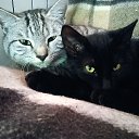 ���� ����, ��������� - ��������� 16 ������ 2024 � ������ ���� ����������