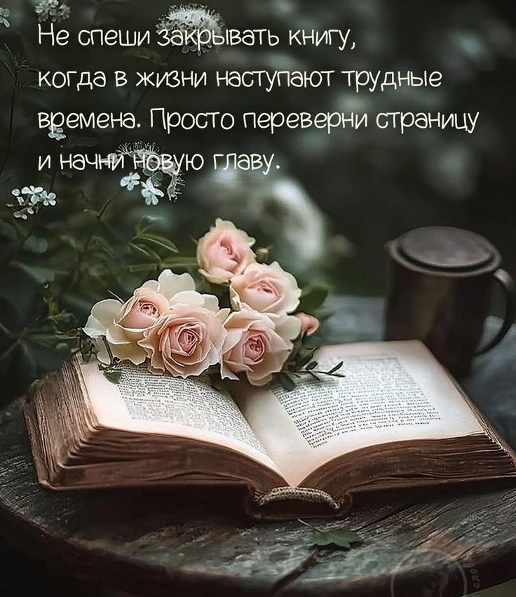   ,    . - 3  2025  19:59