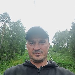 ���� ����, ����, 41 ��� - ��������� 2 ������� 2025