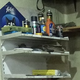 �����, ������, 37 ���