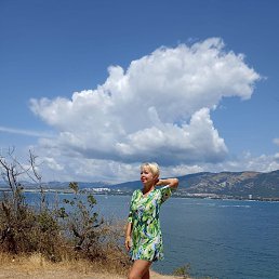 �����, 41 ���, ��������