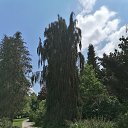 ���� Alexander, ������, 62 ���� - ��������� 1 ������� 2023 � ������ �������