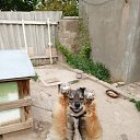 ���� �������, �������� - ��������� 3 ������� 2025 � ������ ������ ��������