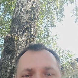 , 45 , 