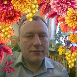 ���� ����, ���������, 48 ��� - ��������� 19 ������� 2024