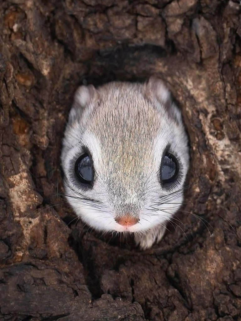  :  -     .    ... - 2