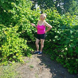 �������, ����, 52 ����