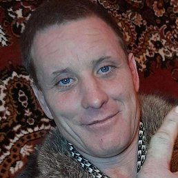 �����, ������, 41 ���