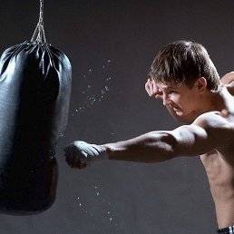 �����, ���������, 43 ����