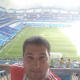 , 37, 