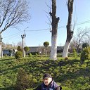 ���� David, ��������� - ��������� 9 ������� 2024 � ������ ���� ����������