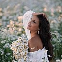 ���� L, ������, 44 ���� - ��������� 20 ���� 2026