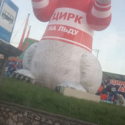 ���� �������, ���������, 45 ��� - ��������� 8 ��� 2025