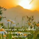 ���� ���������, ������ - ��������� 29 ������� 2025 � ������ ���� ����������