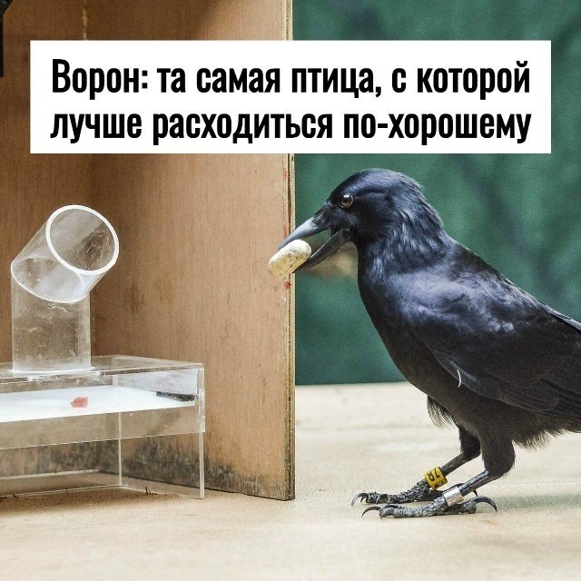 ������ ������ � ���� ����: ��� ������ ���������� ������������ ����� ��������� �������.������������ ...