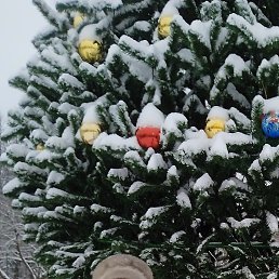 ������, �������, 58 ���