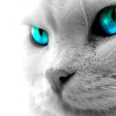 ���� ������, ���, 38 ��� - ��������� 28 ������� 2024 � ������ ���� ����������
