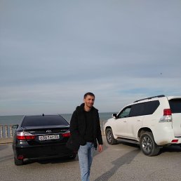 �����, 40 ���, ���������