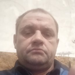 ����, �����-���������, 45 ���