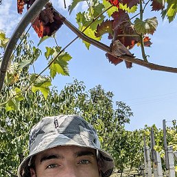 ����, ������, 37 ���