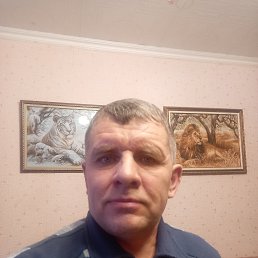 , 53 , 