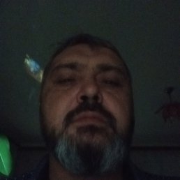 , 51, 