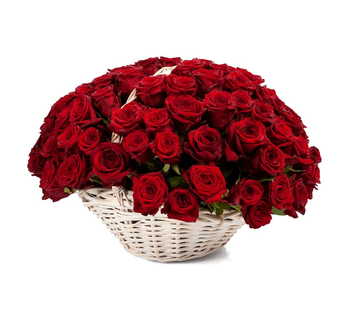 �������� ������ ��� ���� -�������� � ���https://fotostrana.ru/away?to=/sl/4nv5