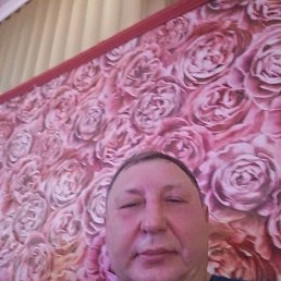 ���� ����, ������, 58 ��� - ��������� 29 ������� 2023