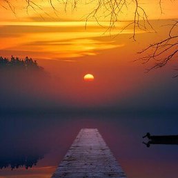 ��������, ������, 56 ���