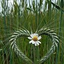 ���� �����, ������, 48 ��� - ��������� 16 ���� 2024 � ������ ���� ����������