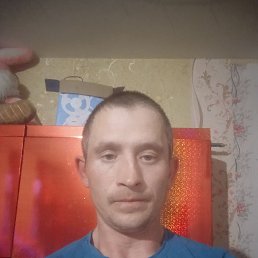 , 37, 