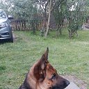 ���� �����, ������, 55 ��� - ��������� 14 ���� 2025