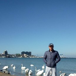 ���� �������, �����, 39 ��� - ��������� 10 ������� 2026