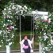 ����������, 66 ���, ������