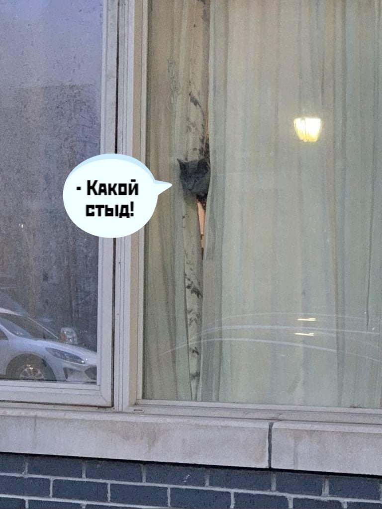      ).: => - 3