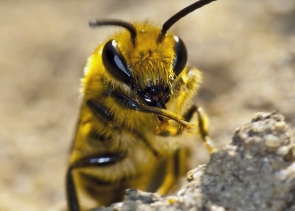   ,    ,    ,   ,   ...