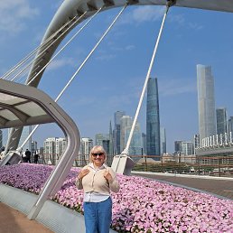 ���� ����, ���������, 55 ��� - ��������� 24 ������� 2026