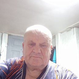 ���� �������, ���������, 66 ��� - ��������� 2 �������� 2026