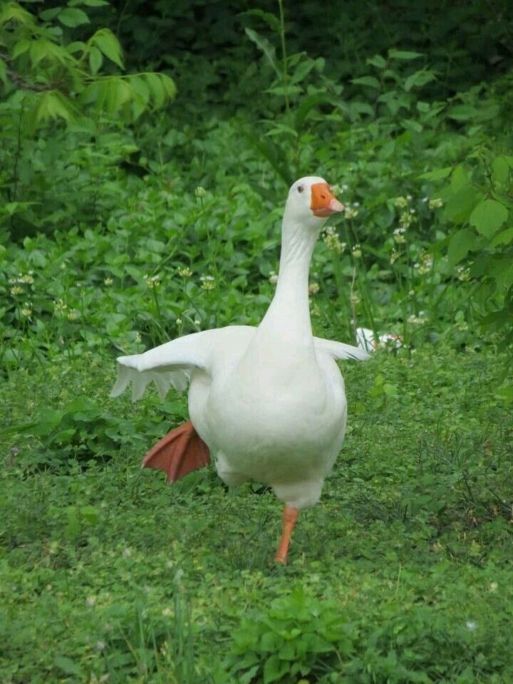 - .      ,  ? - , .     ? - ...