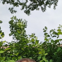 ���� �, �����������, 47 ��� - ��������� 5 ������� 2024