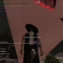 ���� �����, �����, 24 ���� - ��������� 24 ���� 2024
