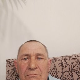 �����, 66 ���, ������