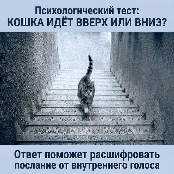 ������ �� ��� ������, ��� ������, �� �� ����� ���� � ������ �������. ���� ���� ����������, ��� �� ...