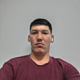 , 29, 