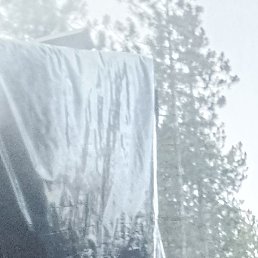 ������, ������, 39 ���