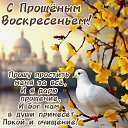 ���� ���������, ������ ��������, 61 ��� - ��������� 22 ������� 2026 � ������ ������ ��������