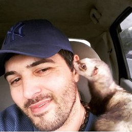 ����, ������, 37 ���