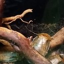  ,  -  14  2025   09.052025.