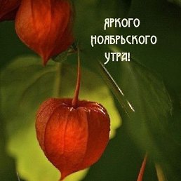 �����, �����, 50 ���